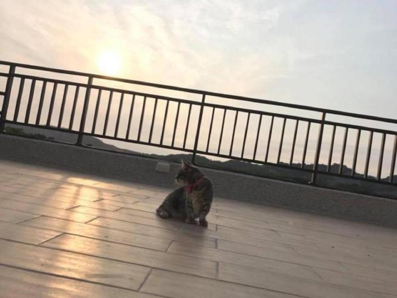 Sunny Sky Homestay Yujing Exterior photo